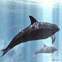 Del agua 3
